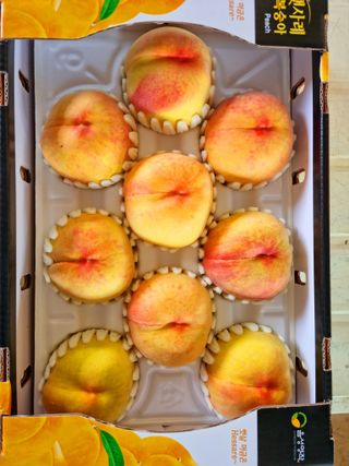 햇사레맨(이용삼)님의 O학년 △반 이세요? · 참여글 작성글 사진