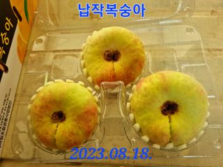 햇사레맨(이용삼)님의 O학년 △반 이세요? · 참여글 작성글 사진