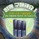 팜모닝 팜모닝공식·혜택 게시글 이미지