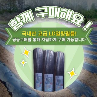 팜모닝 장터님의 팜모닝공식 · 혜택 작성글 사진