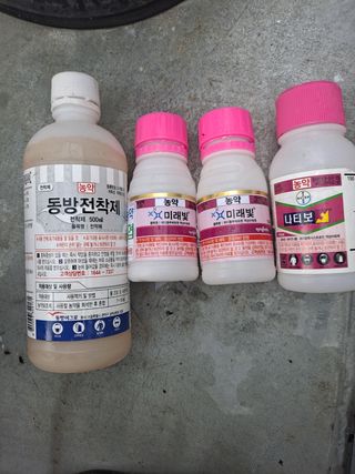 은화주농원맥반석포도님의 포도 · 영농일지 작성글 사진