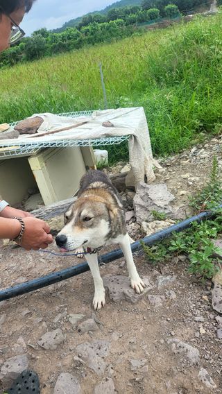 방촌대장님의 자유주제 · 자유게시판 작성글 사진