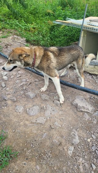 방촌대장님의 자유주제 · 자유게시판 작성글 사진