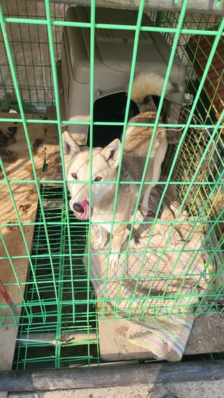 방촌대장님의 자유주제 · 자유게시판 작성글 사진