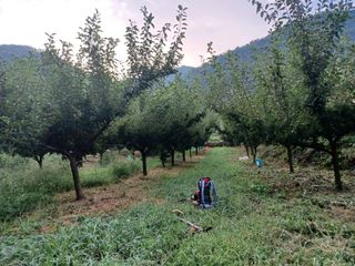 전락구님의 사과 · 영농일지 작성글 사진