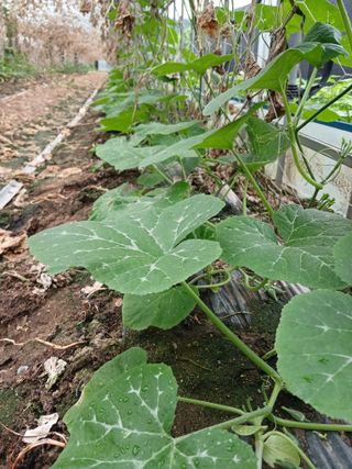 879412님의 O학년 △반 이세요? · 참여글 작성글 사진