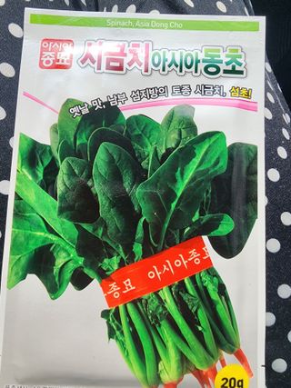 시금치11642님의 O학년 △반 이세요? · 참여글 작성글 사진