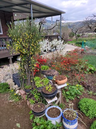 우진농장님의 O학년 △반 이세요? · 참여글 작성글 사진