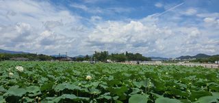 최금순(햇살농장)님의 O학년 △반 이세요? · 참여글 작성글 사진