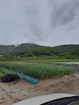 팜모닝 O학년 △반 이세요?·참여글 게시글 이미지