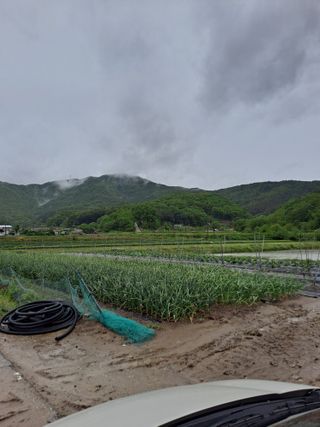 장명선님의 O학년 △반 이세요? · 참여글 작성글 사진