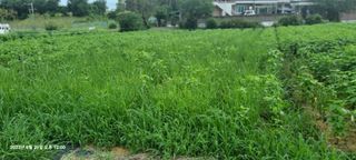 양성천님의 O학년 △반 이세요? · 참여글 작성글 사진