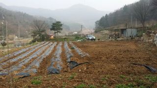 두릅나무14331님의 O학년 △반 이세요? · 참여글 작성글 사진