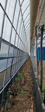 팜모닝 토마토·토양준비 게시글 이미지