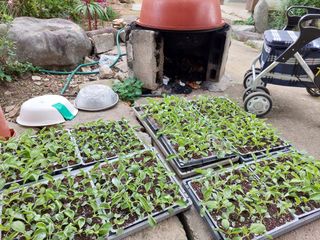 유병욱님의 벼 · 영농일지 작성글 사진