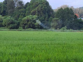 강기동님의 O학년 △반 이세요? · 참여글 작성글 사진