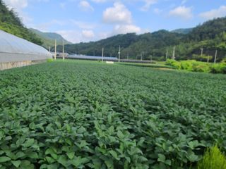 강기동님의 O학년 △반 이세요? · 참여글 작성글 사진