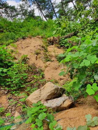 김서운님의 O학년 △반 이세요? · 참여글 작성글 사진