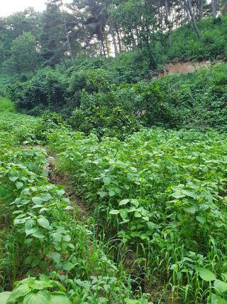김서운님의 O학년 △반 이세요? · 참여글 작성글 사진