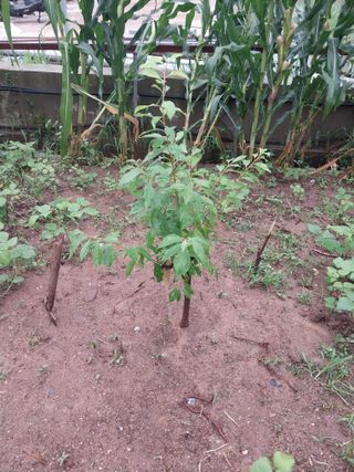 김성현님의 O학년 △반 이세요? · 참여글 작성글 사진