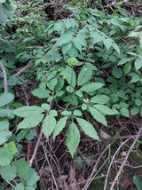 팜모닝 O학년 △반 이세요?·참여글 게시글 이미지