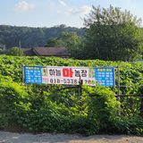 팜모닝 O학년 △반 이세요?·참여글 게시글 이미지