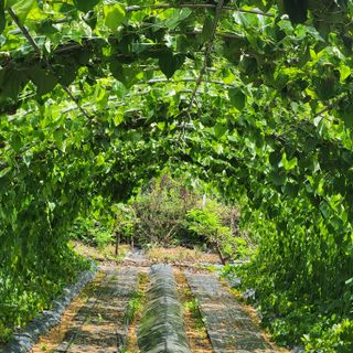 파랑새 농장님의 O학년 △반 이세요? · 참여글 작성글 사진