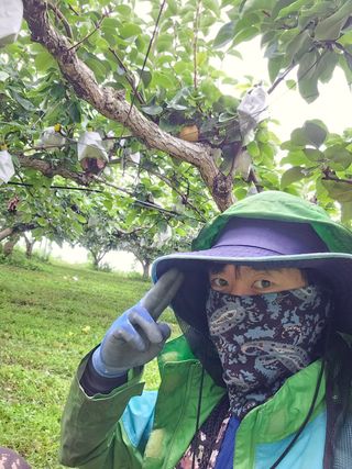 온달농부님의 O학년 △반 이세요? · 참여글 작성글 사진