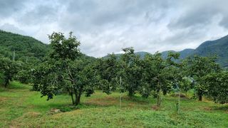 용용농도님의 O학년 △반 이세요? · 참여글 작성글 사진