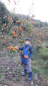 팜모닝 O학년 △반 이세요?·참여글 게시글 이미지