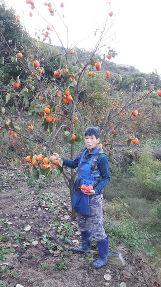 정남기님의 O학년 △반 이세요? · 참여글 작성글 사진