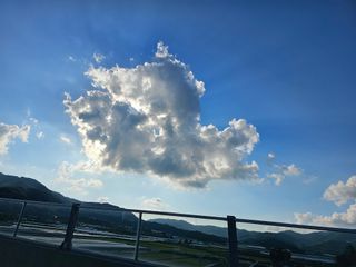 정광일님의 O학년 △반 이세요? · 참여글 작성글 사진