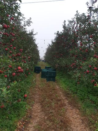 조순자님의 O학년 △반 이세요? · 참여글 작성글 사진