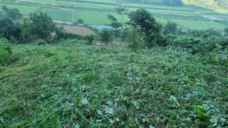 조현길님의 O학년 △반 이세요? · 참여글 작성글 사진