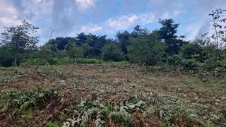 조현길님의 O학년 △반 이세요? · 참여글 작성글 사진