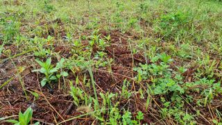 조현길님의 O학년 △반 이세요? · 참여글 작성글 사진