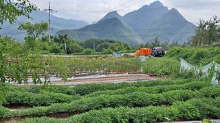 이애숙님의 O학년 △반 이세요? · 참여글 작성글 사진