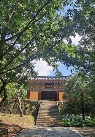 이애숙님의 O학년 △반 이세요? · 참여글 작성글 사진