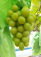 팜모닝 O학년 △반 이세요?·참여글 게시글 이미지