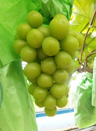 변기천님의 O학년 △반 이세요? · 참여글 작성글 사진