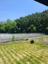 팜모닝 O학년 △반 이세요?·참여글 게시글 이미지