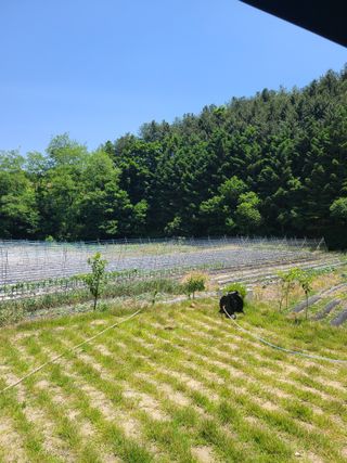 오광태님의 O학년 △반 이세요? · 참여글 작성글 사진