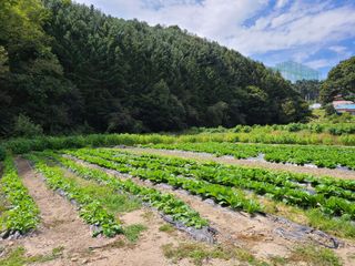 오광태님의 O학년 △반 이세요? · 참여글 작성글 사진