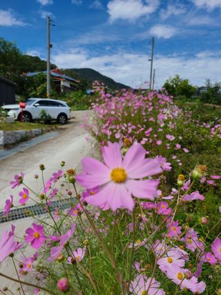 오광태님의 O학년 △반 이세요? · 참여글 작성글 사진