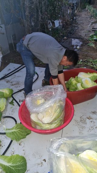 Bmww2226님의 O학년 △반 이세요? · 참여글 작성글 사진