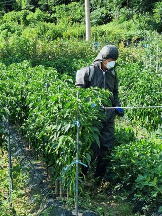 Bmww2226님의 O학년 △반 이세요? · 참여글 작성글 사진