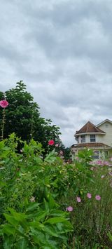 팜모닝 자유주제·자유게시판 게시글 이미지