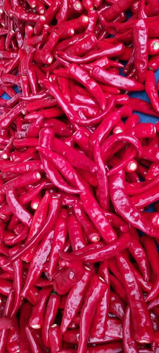 최영호님의 자유주제 · 자유게시판 작성글 사진