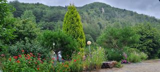 최영호님의 자유주제 · 자유게시판 작성글 사진