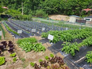 Bmww2226님의 O학년 △반 이세요? · 참여글 작성글 사진